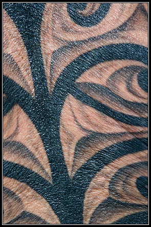 _bbb0772mini