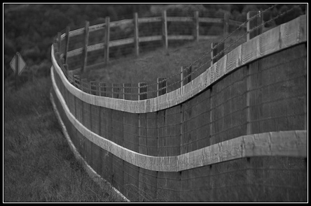 _FFF4045-mini