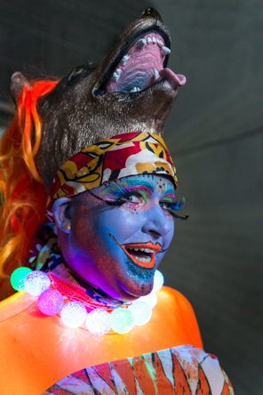 wolf head in orange