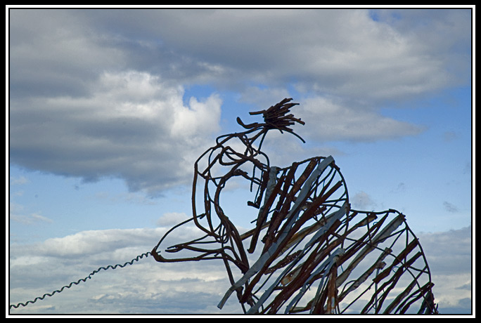 phoenix rising