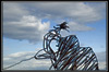 phoenix rising icon