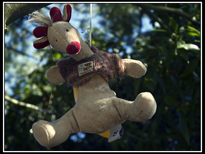 stuffed animal