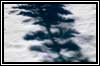 snow icon