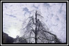 ice storm icon