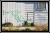 grafitti icon