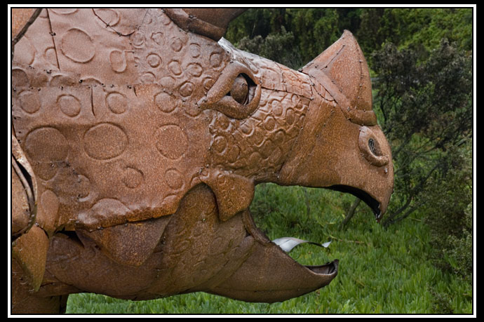 triceratops